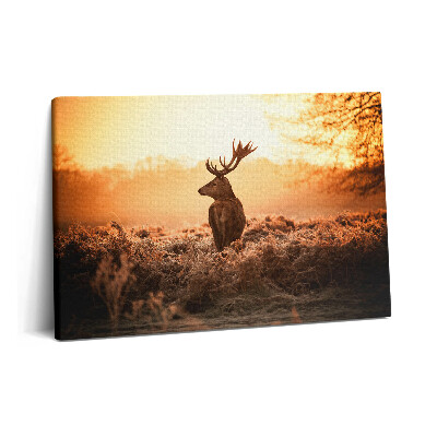 Fotoobraz na plátne 60x40 Jeleň pri východe slnka