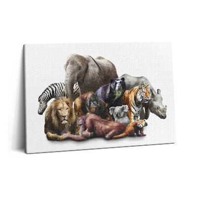 Obraz na plátne 60x40 Divoká príroda