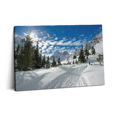 Obraz na plátne 60x40 Horská krajina v zime