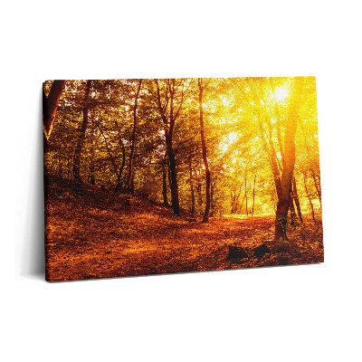 Fotoobraz na plátne 60x40 Jesenná krajina so západom slnka