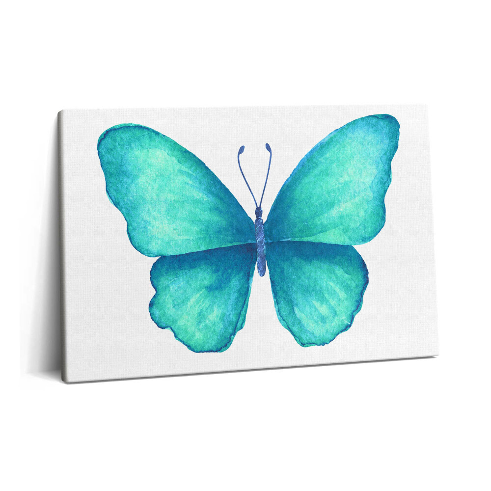 Obraz na plátne 60x40 Tyrkysový letný motýľ