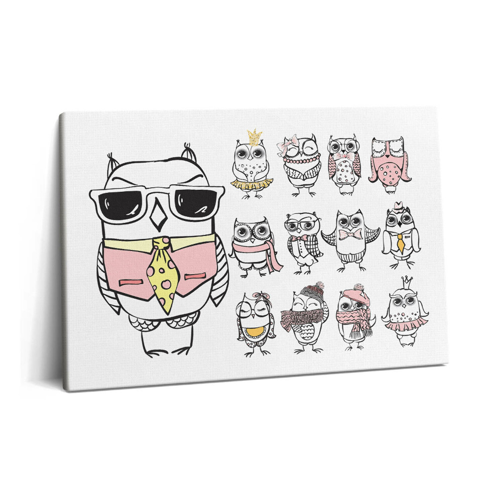 Obraz na plátne 60x40 Vintage plagát so sovami