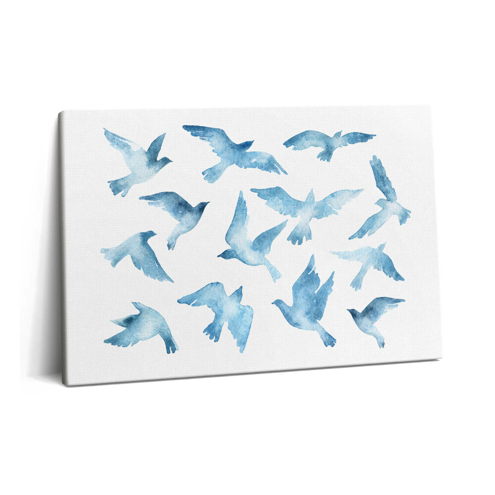 Obraz na plátne 60x40 Vtáky lietajúce vo vzduchu