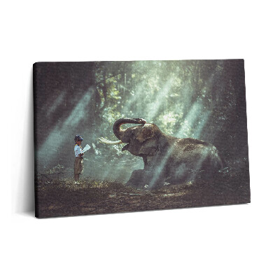 Obraz na plátne 60x40 Chlapec s knihou