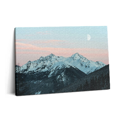 Obraz na plátne 60x40 Horské pásmo v zime