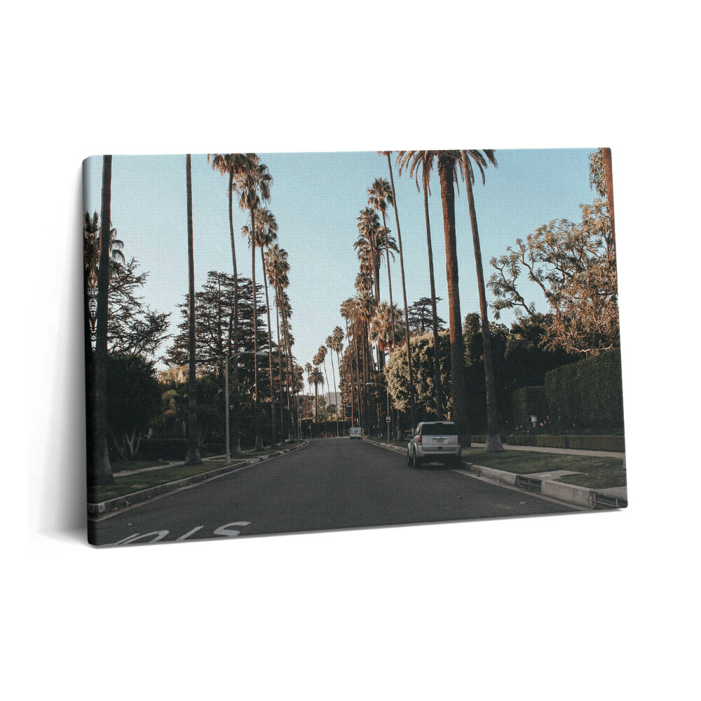 Fotoobraz na plátne 60x40 Vozidlo na ceste medzi stromami