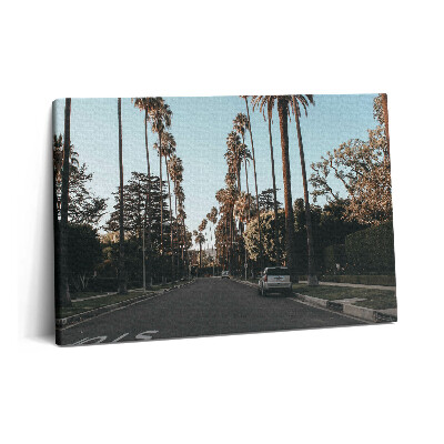 Fotoobraz na plátne 60x40 Vozidlo na ceste medzi stromami