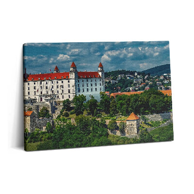 Fotoobraz na plátne 60x40 Bratislavský hrad