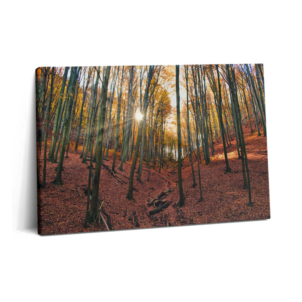 Obraz na plátne 60x40 Západ slnka a stromy