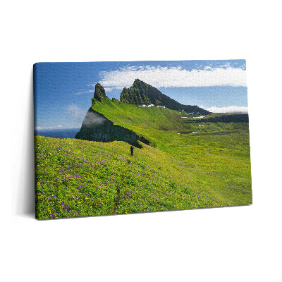 Obraz na plátne 60x40 Prírodná rezervácia Hornstrandir Island