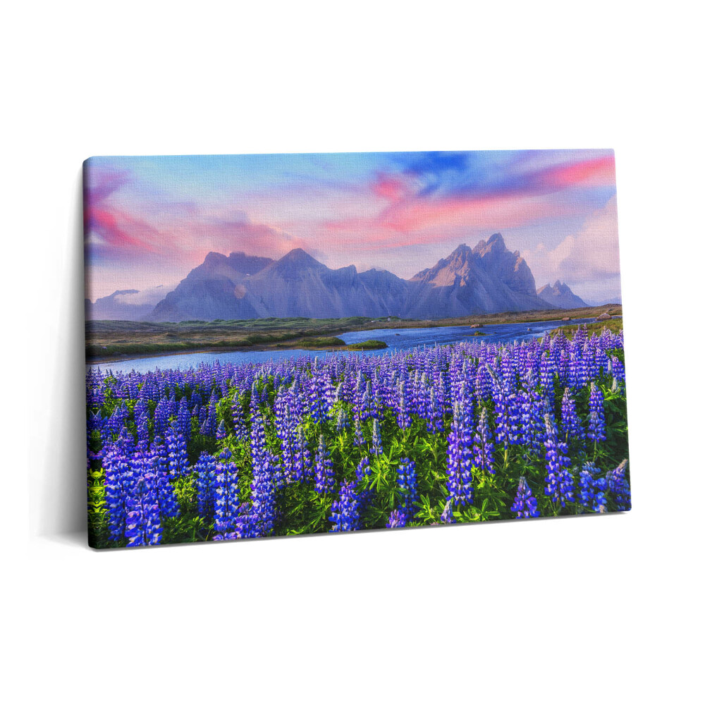 Obraz na plátne 60x40 Levanduľové polia - Island