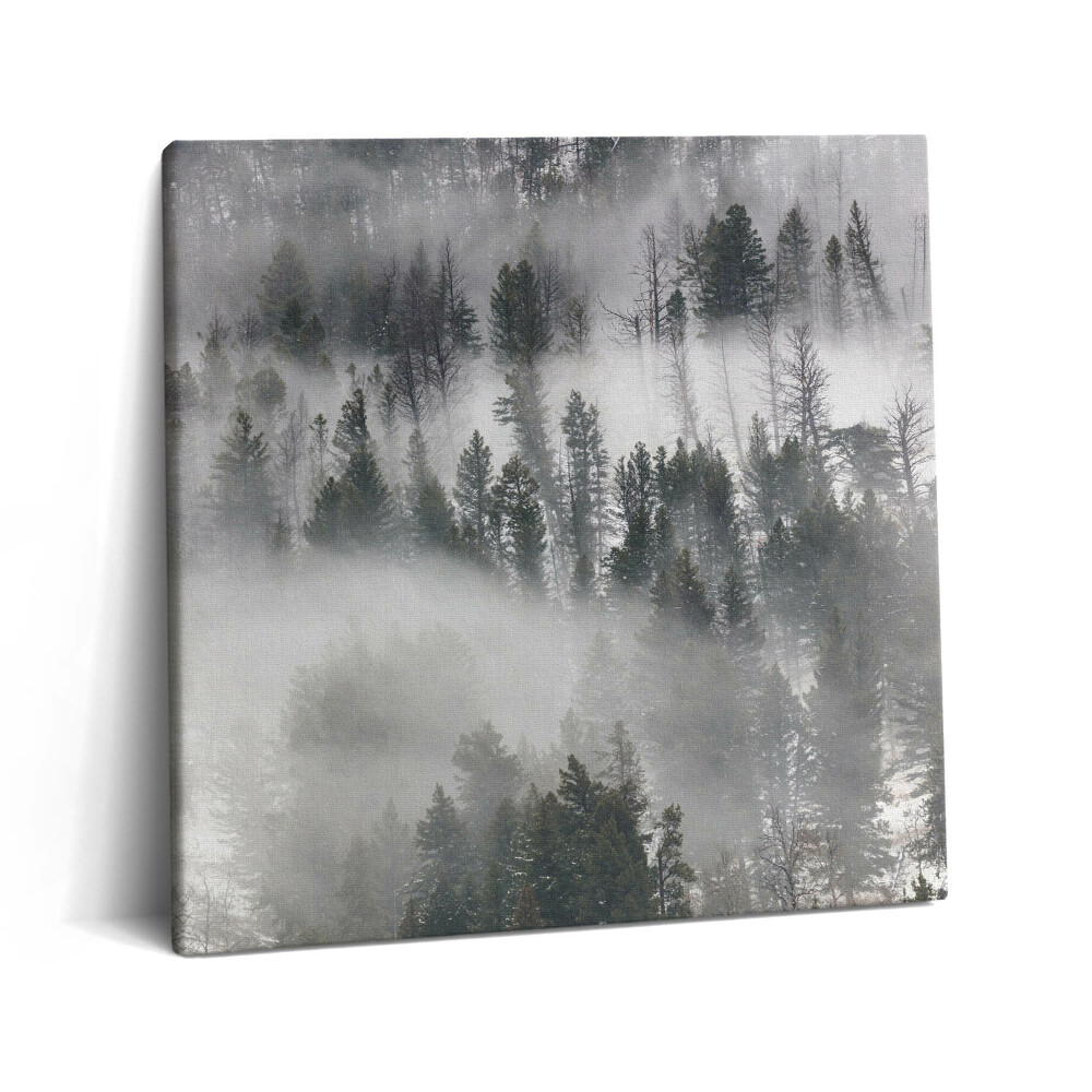 Fotoobraz na plátne 60x60 Mlhavý lesný sen