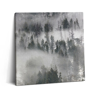 Fotoobraz na plátne 60x60 Mlhavý lesný sen