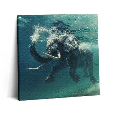 Obraz na plátne 60x60 Slon pod vodnou hladinou