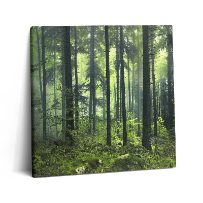 Obraz na plátne 60x60 Zelený lesný pokoj