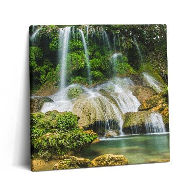 Obraz na plátne 60x60 Vodopád v tropickom lese