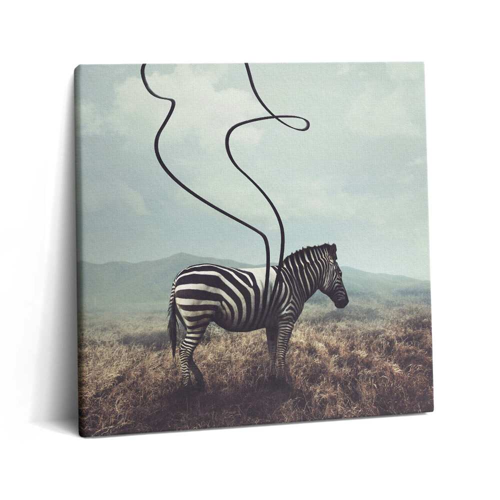 Obraz na plátne 60x60 Zebra s rozpletajúcimi sa pruhmi