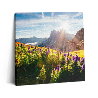 Obraz na plátne 60x60 Horské lúky v rannom slnku