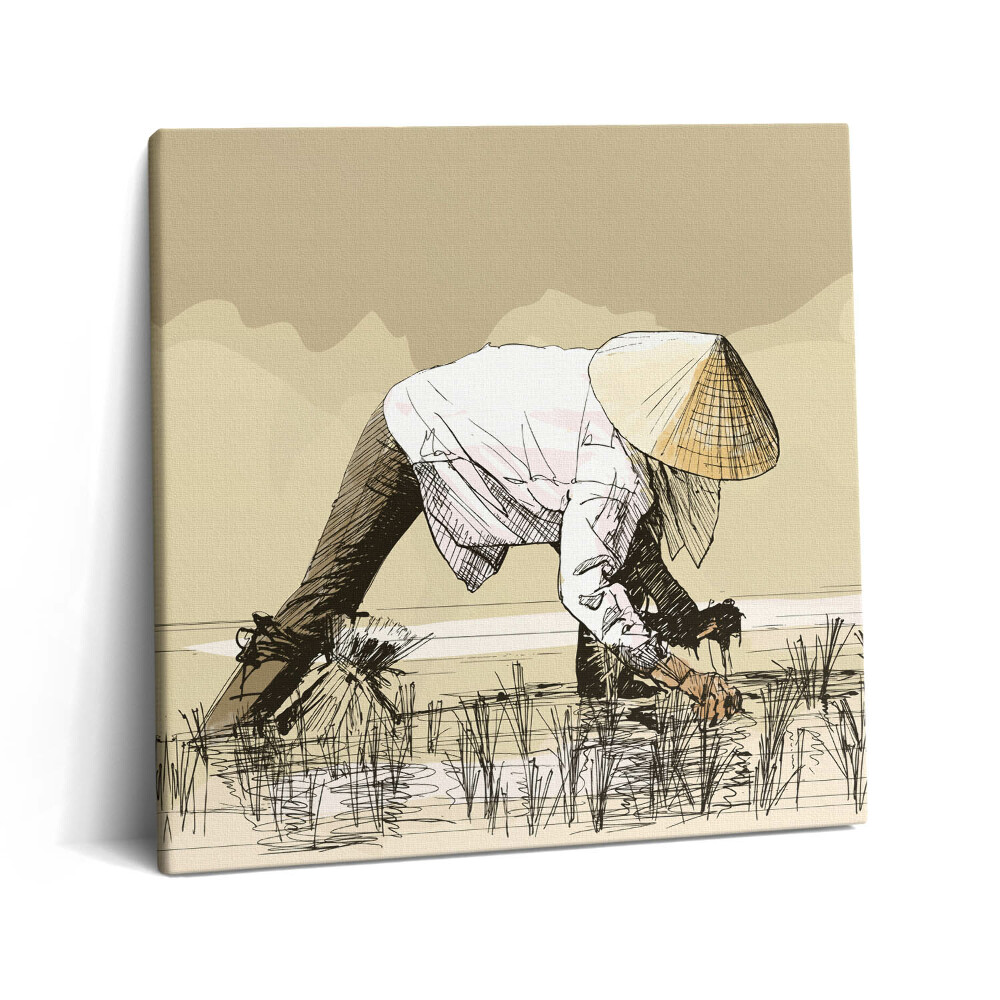 Fotoobraz na plátne 60x60 Pracovník na ryžovom poli