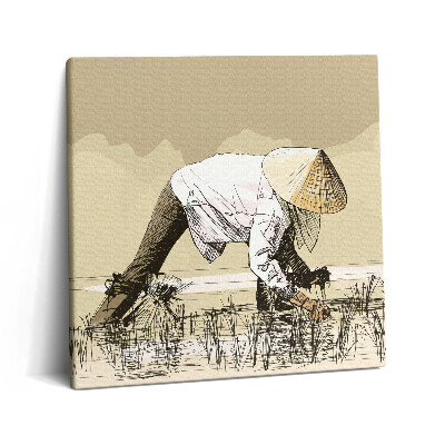 Fotoobraz na plátne 60x60 Pracovník na ryžovom poli