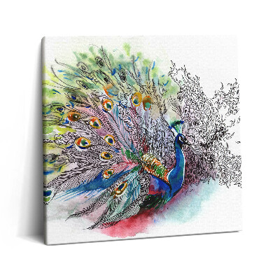 Obraz na plátne 60x60 Páv v akvarelovej symfónii