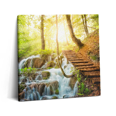 Obraz na plátne 60x60 Lesná cesta pri vodopáde