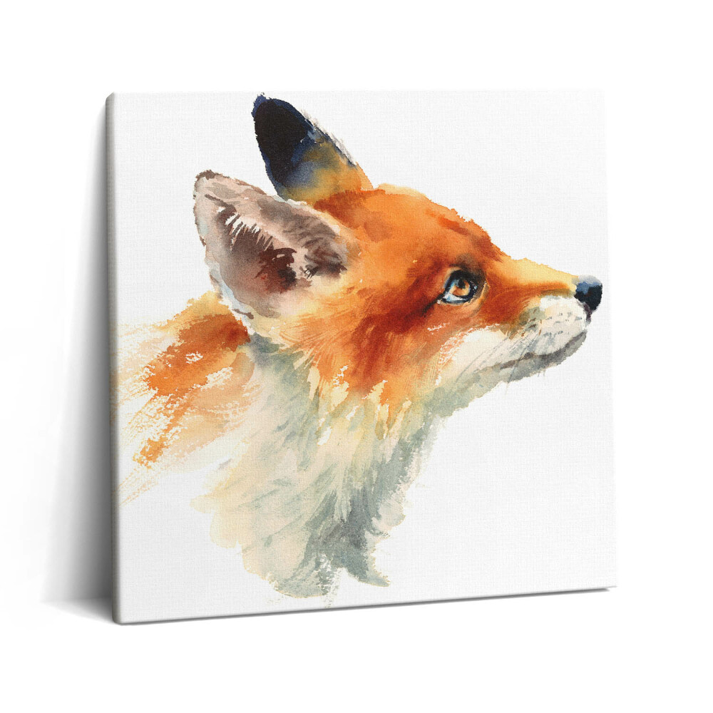 Obraz na plátne 60x60 Líška hľadiaca k oblohe