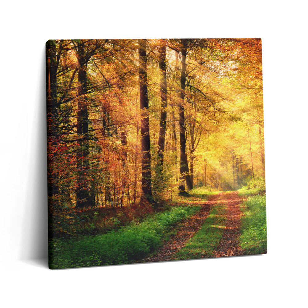 Fotoobraz na plátne 60x60 Jesenná cesta v zlatom lese