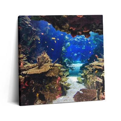 Fotoobraz na plátne 60x60 Podmorský svet plný života