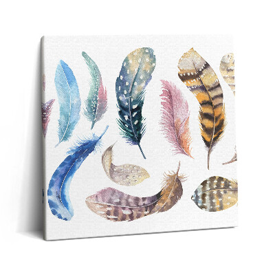 Fotoobraz na plátne 60x60 Farebné akvarelové pierka na plátne