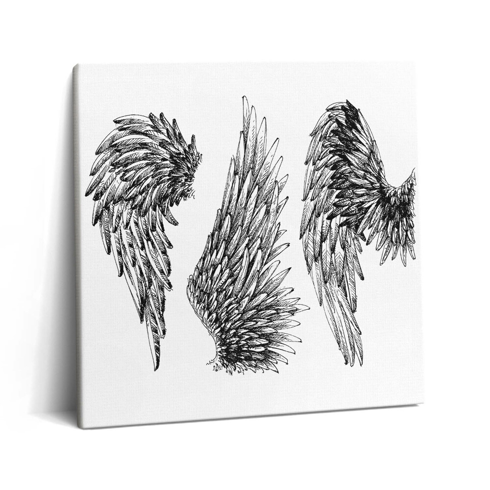 Obraz na plátne 60x60 Tri páry anjelských krídel