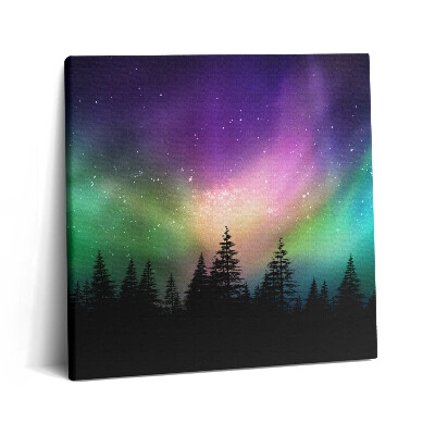 Obraz na plátne 60x60 Polárna žiara nad lesom