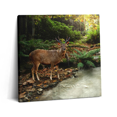 Fotoobraz na plátne 60x60 Jeleň pri lesnom potoku