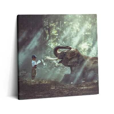 Fotoobraz na plátne 60x60 Chlapec čítajúci slonovi v lese