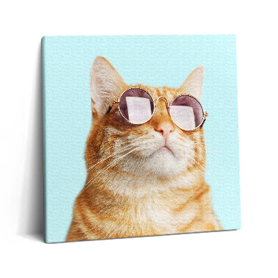 Fotoobraz na plátne 60x60 Mačka so slnečnými okuliarmi