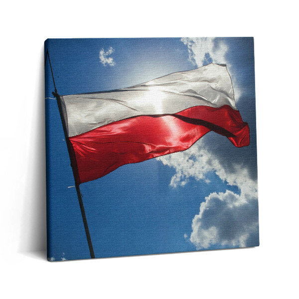 Obraz na plátne 60x60 Vlajka na modrej oblohe