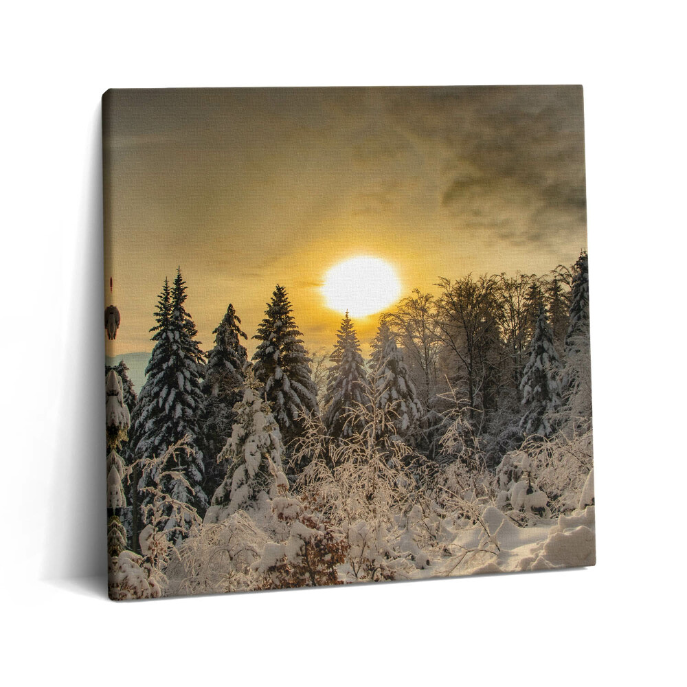 Fotoobraz na plátne 60x60 Zimný les pri západe slnka