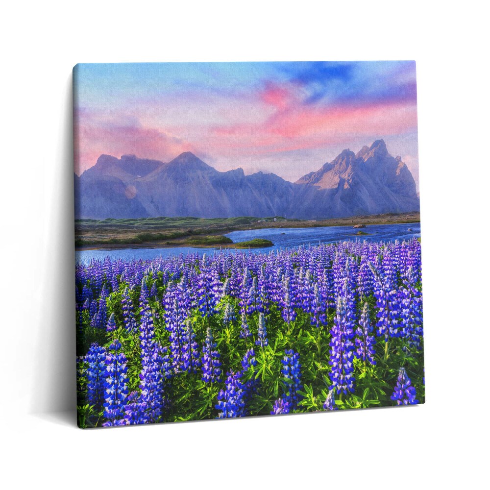 Obraz na plátne 60x60 Fialové lúky pod horami pri západe