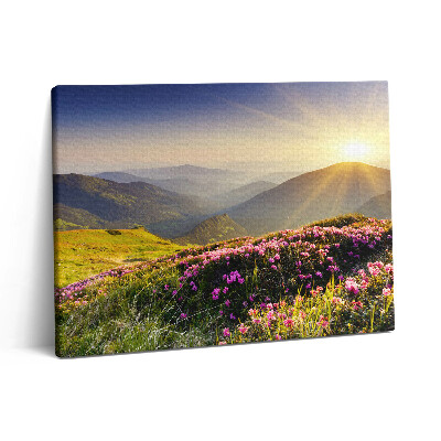 Fotoobraz na plátne 80x60 Hory a lúka s kvetmi
