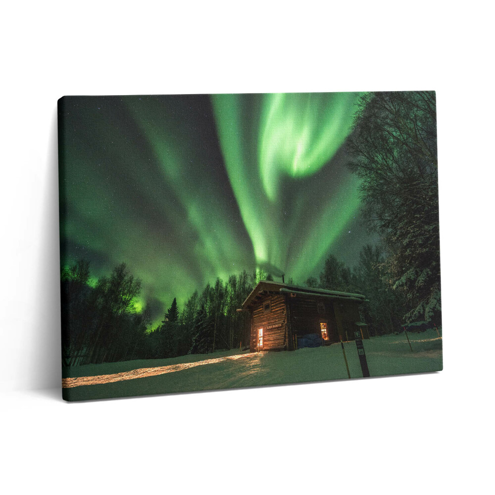 Obraz na plátne 80x60 Polárna žiara a dom v lese