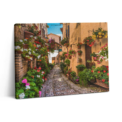 Fotoobraz na plátne 80x60 Kvetinová ulica v Umbrii
