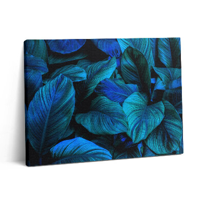 Obraz na plátne 80x60 Tropická príroda