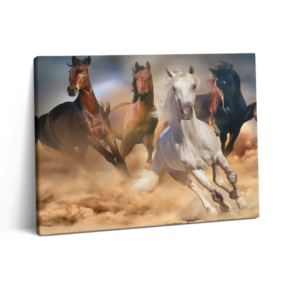 Fotoobraz na plátne 80x60 Kone sa rútia cvalom