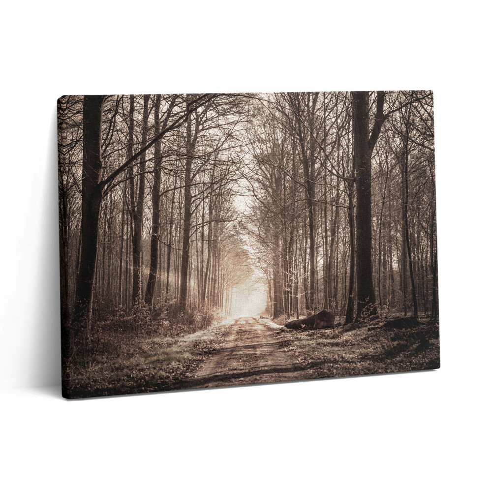 Obraz na plátne 80x60 Lesná cesta v sépiových tónoch