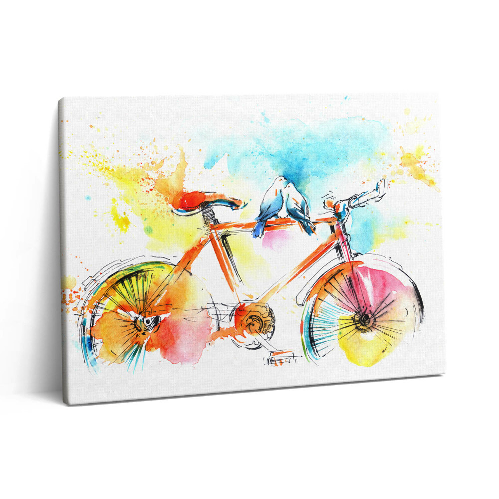 Obraz na plátne 80x60 Maľovaný bicykel