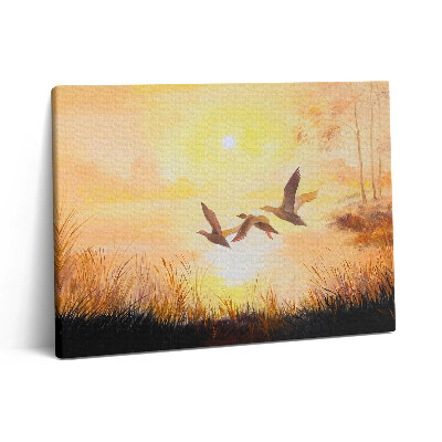 Fotoobraz na plátne 80x60 Žeriavy pri západe slnka