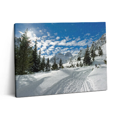 Obraz na plátne 80x60 Horská krajina v zime