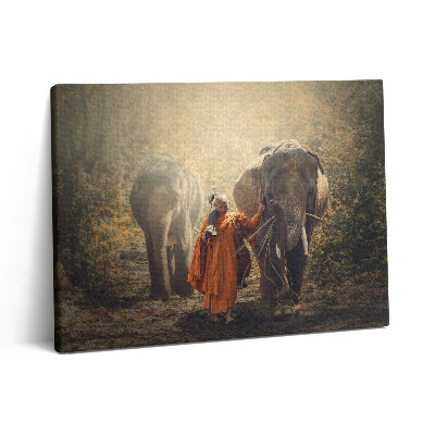 Fotoobraz na plátne 80x60 Mních a slony