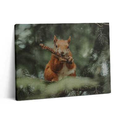 Obraz na plátne 80x60 Povaha divokej veveričky