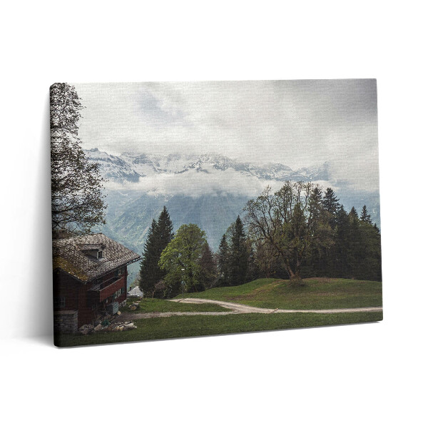 Fotoobraz na plátne 80x60 Malebný výhľad na hory